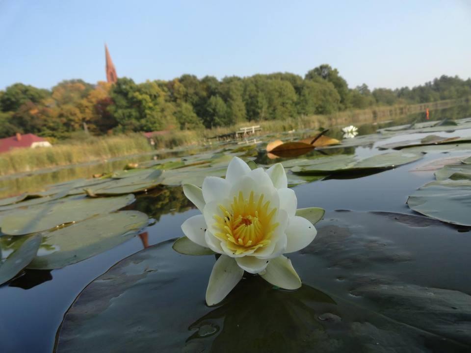 Agroturystyka Chycina Dış mekan fotoğraf